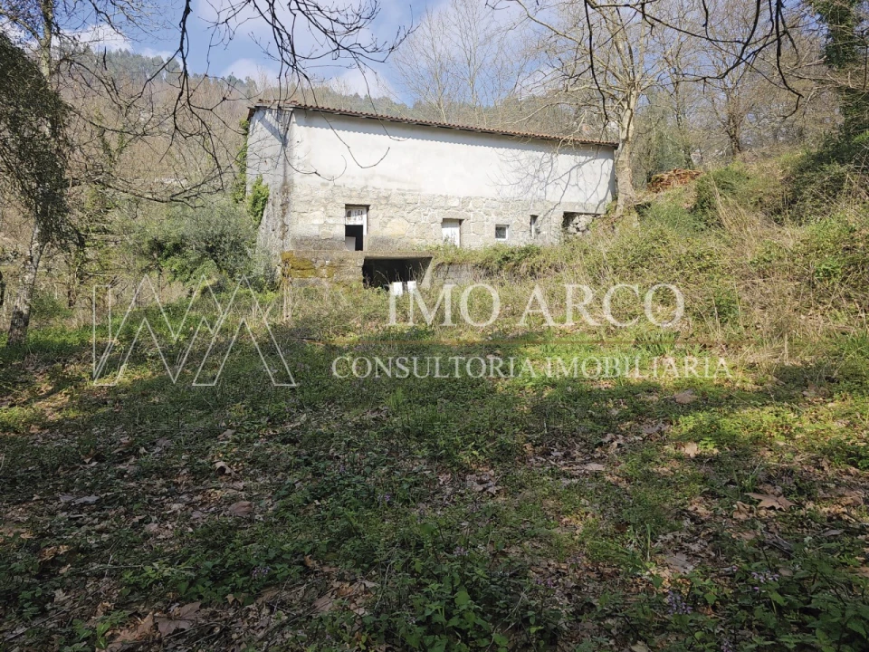 Quinta para Venda em Britelo, Gémeos e Ourilhe Foto 1