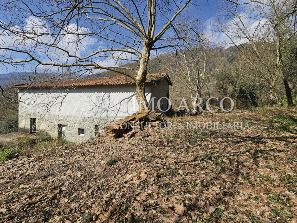 Quinta para Venda em Britelo, Gémeos e Ourilhe Foto 2