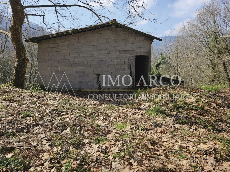 Quinta para Venda em Britelo, Gémeos e Ourilhe Foto 3