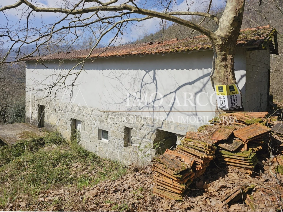 Quinta para Venda em Britelo, Gémeos e Ourilhe Foto 13