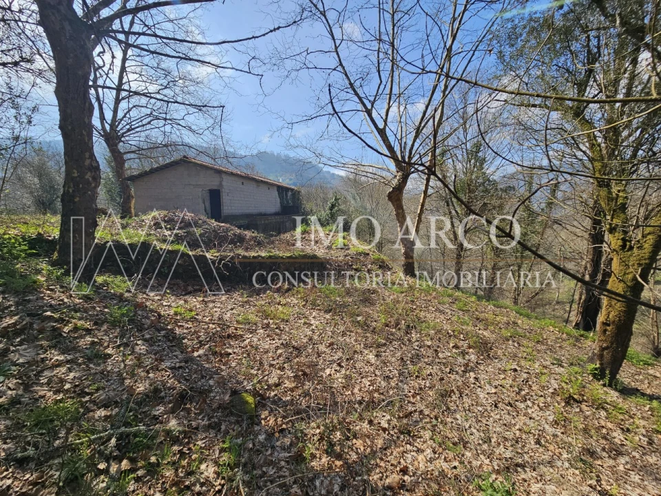 Quinta para Venda em Britelo, Gémeos e Ourilhe Foto 17