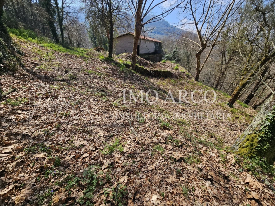 Quinta para Venda em Britelo, Gémeos e Ourilhe Foto 20