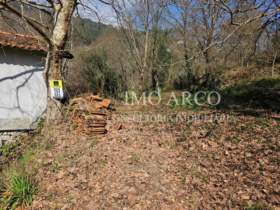 Quinta para Venda em Britelo, Gémeos e Ourilhe Foto 21