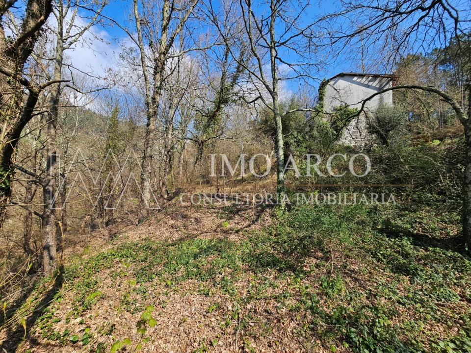 Quinta para Venda em Britelo, Gémeos e Ourilhe Foto 23