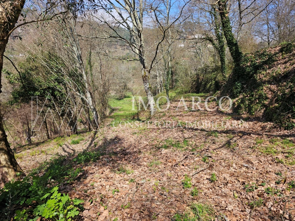 Quinta para Venda em Britelo, Gémeos e Ourilhe Foto 25