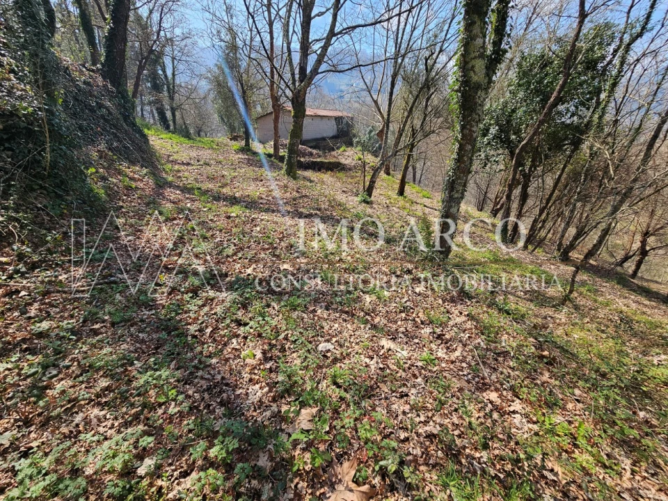 Quinta para Venda em Britelo, Gémeos e Ourilhe Foto 27