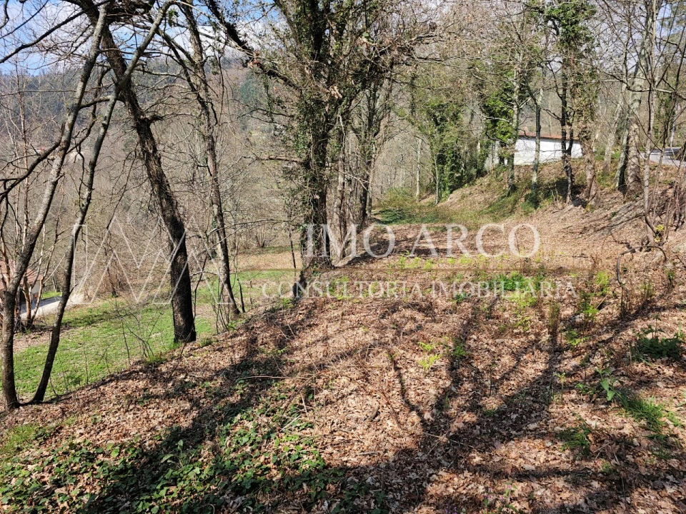 Quinta para Venda em Britelo, Gémeos e Ourilhe Foto 28