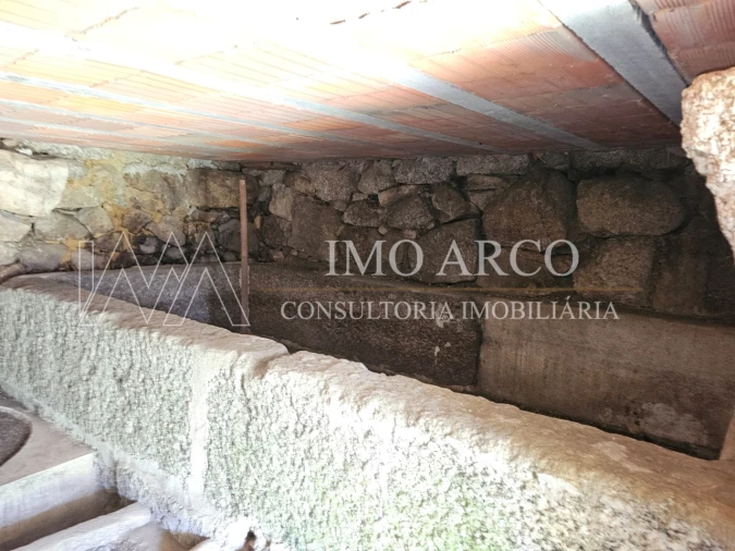 Quinta para Venda em Britelo, Gémeos e Ourilhe Foto 8