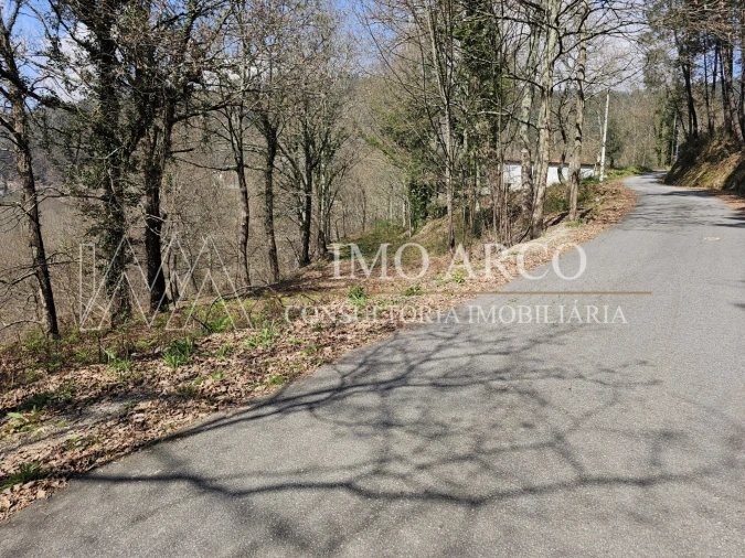 Quinta para Venda em Britelo, Gémeos e Ourilhe Foto 15