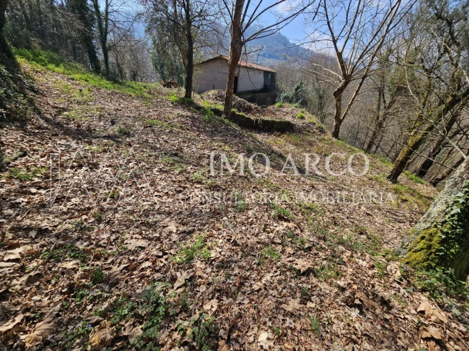 Quinta para Venda em Britelo, Gémeos e Ourilhe Foto 20