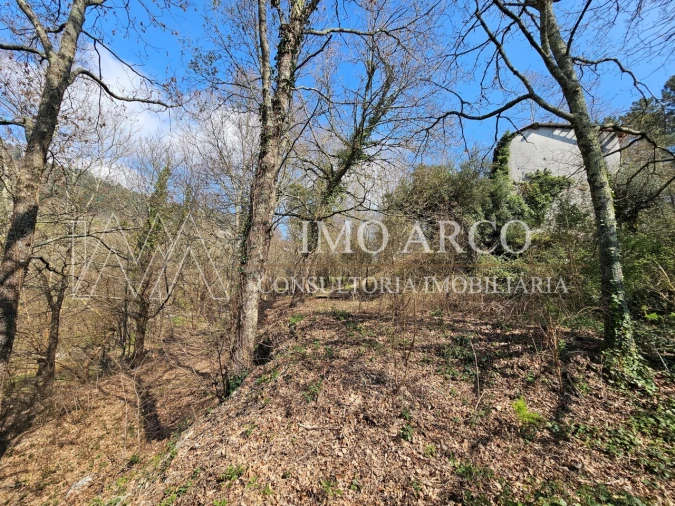 Quinta para Venda em Britelo, Gémeos e Ourilhe Foto 26