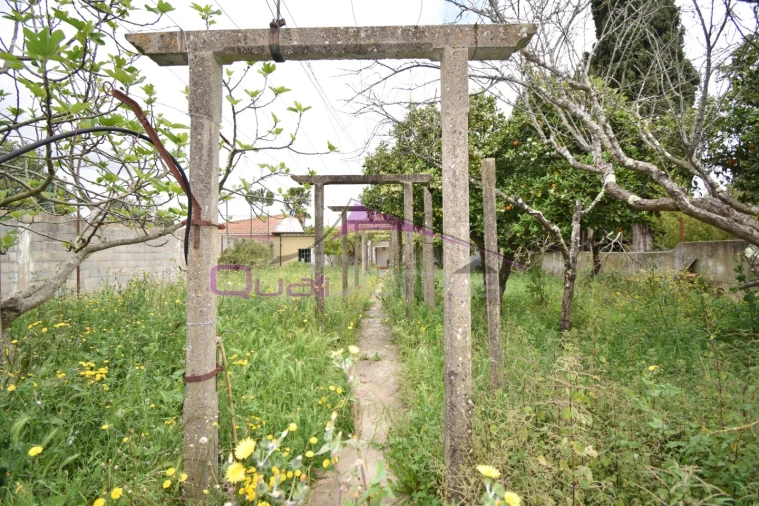 Moradia T4 para Venda em Riachos Foto 24