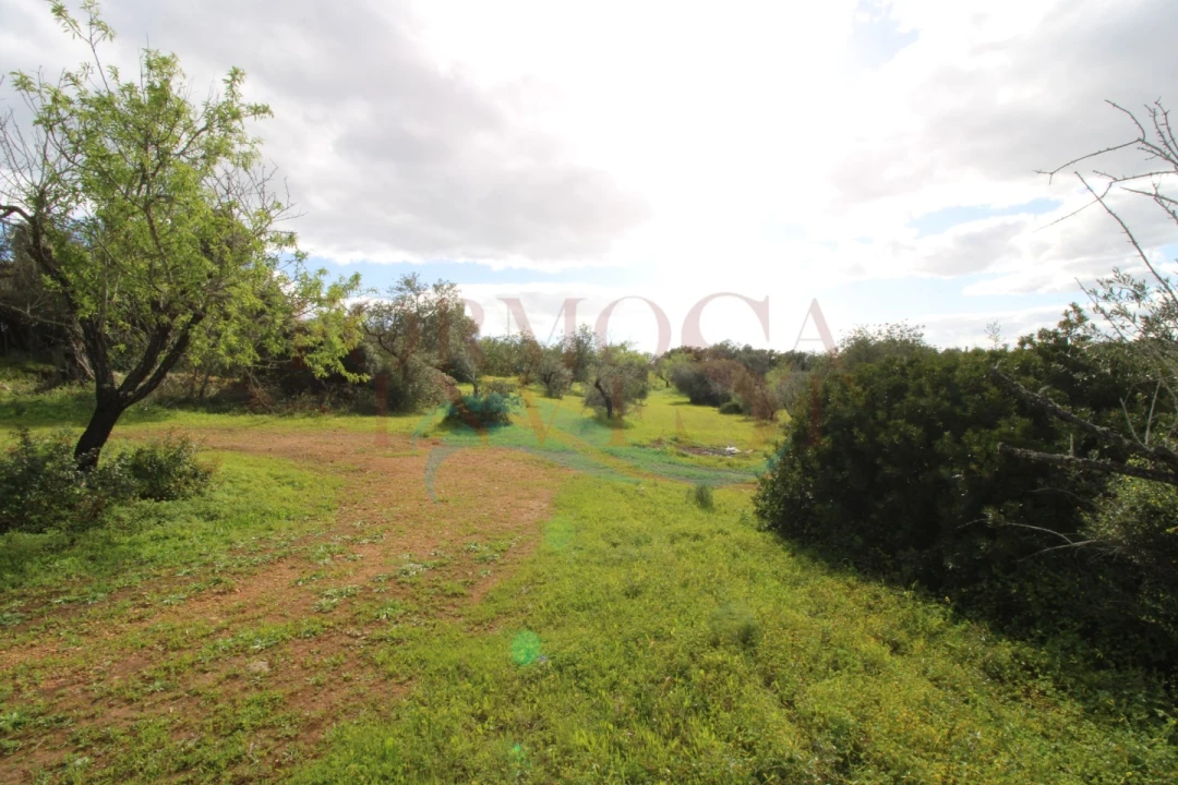 Terreno Agricola ou Rústico para Venda em Moncarapacho e Fuseta Foto 4