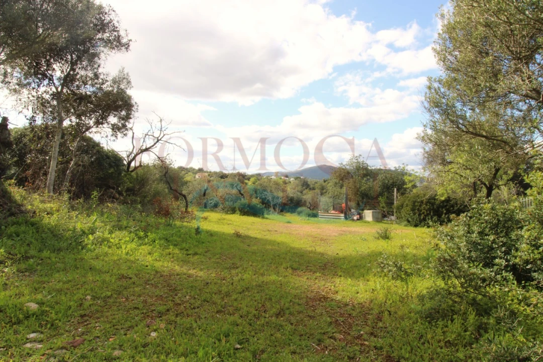 Terreno Agricola ou Rústico para Venda em Moncarapacho e Fuseta Foto 5