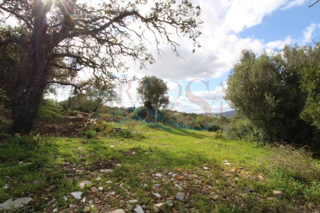 Terreno Agricola ou Rústico para Venda em Moncarapacho e Fuseta Foto 6