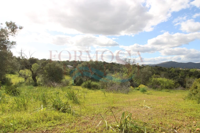 Terreno Agricola ou Rústico para Venda em Moncarapacho e Fuseta Foto 3