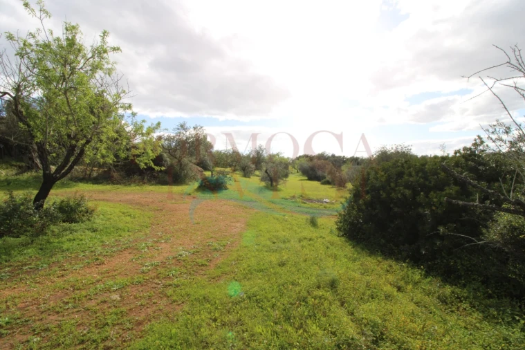 Terreno Agricola ou Rústico para Venda em Moncarapacho e Fuseta Foto 4