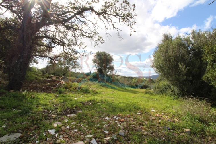 Terreno Agricola ou Rústico para Venda em Moncarapacho e Fuseta Foto 6