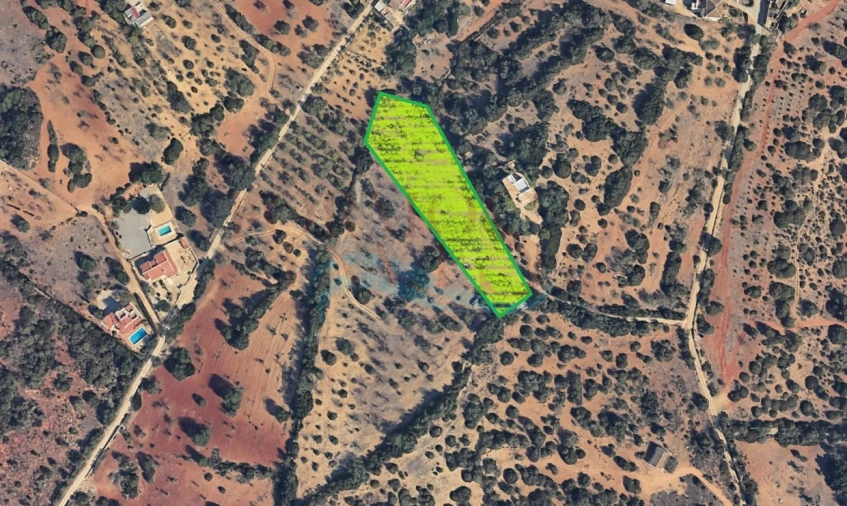 Terreno Agricola ou Rústico para Venda em Moncarapacho e Fuseta Foto 7