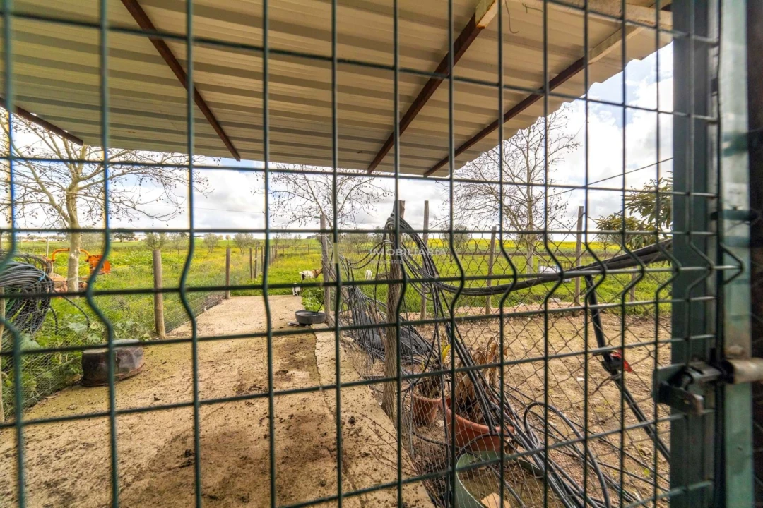 Moradia T5 para Venda em Nossa Senhora da Expectação Foto 56