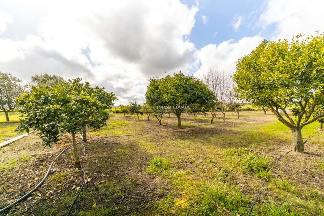 Moradia T5 para Venda em Nossa Senhora da Expectação Foto 35