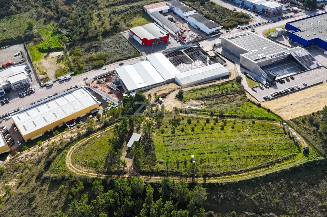 Terreno Comércio / Armazém para Venda em Eiras e São Paulo de Frades Foto 3