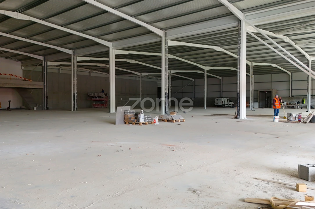 Terreno Comércio / Armazém para Venda em Eiras e São Paulo de Frades Foto 17