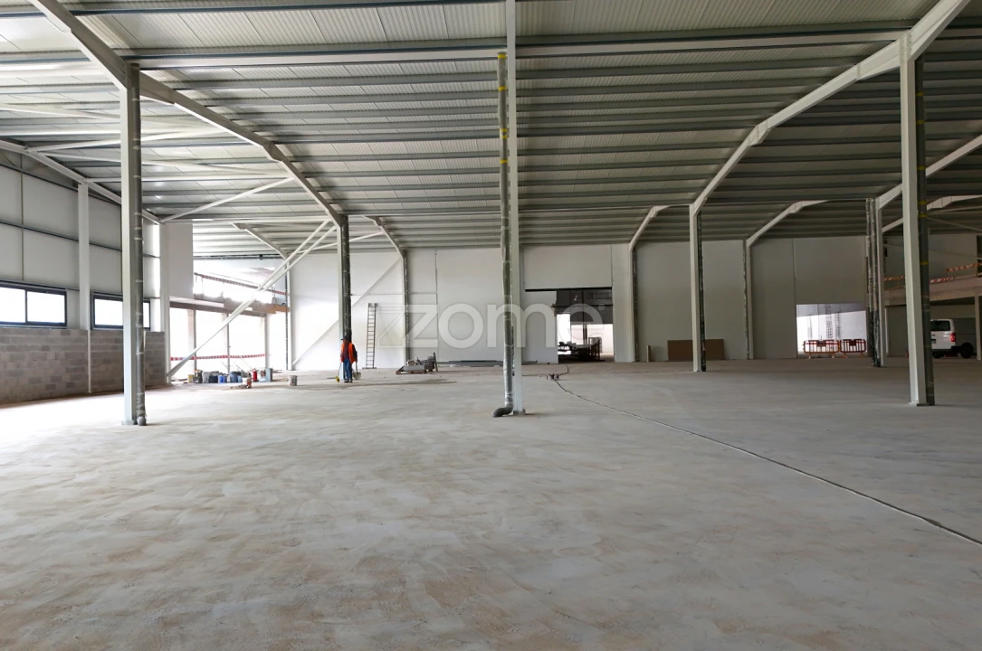 Terreno Comércio / Armazém para Venda em Eiras e São Paulo de Frades Foto 19