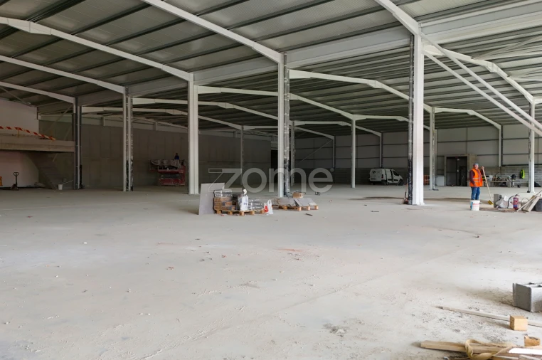 Terreno Comércio / Armazém para Venda em Eiras e São Paulo de Frades Foto 17