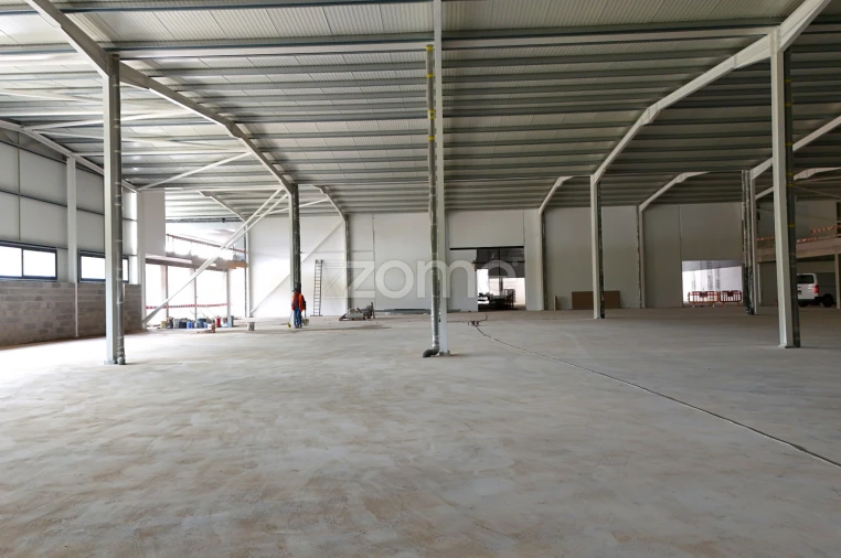 Terreno Comércio / Armazém para Venda em Eiras e São Paulo de Frades Foto 19