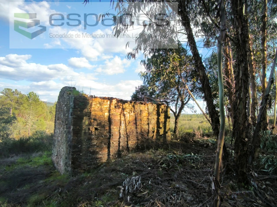 Quinta T1 para Venda em Sarzedas Foto 1