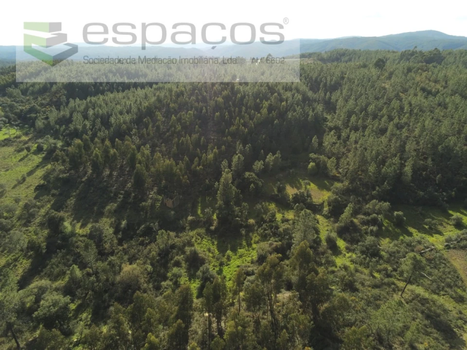 Quinta T1 para Venda em Sarzedas Foto 6