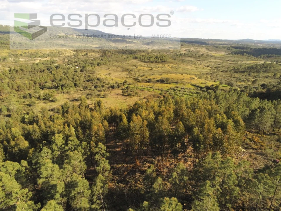 Quinta T1 para Venda em Sarzedas Foto 7