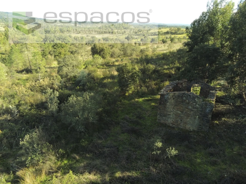 Quinta T1 para Venda em Sarzedas Foto 8