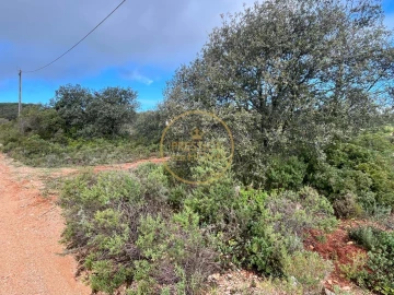 Terreno para Venda em Loule (São Sebastião)