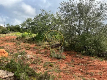 Terreno para Venda em Loule (São Sebastião)