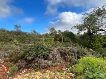 Terreno para Venda em Loule (São Sebastião)