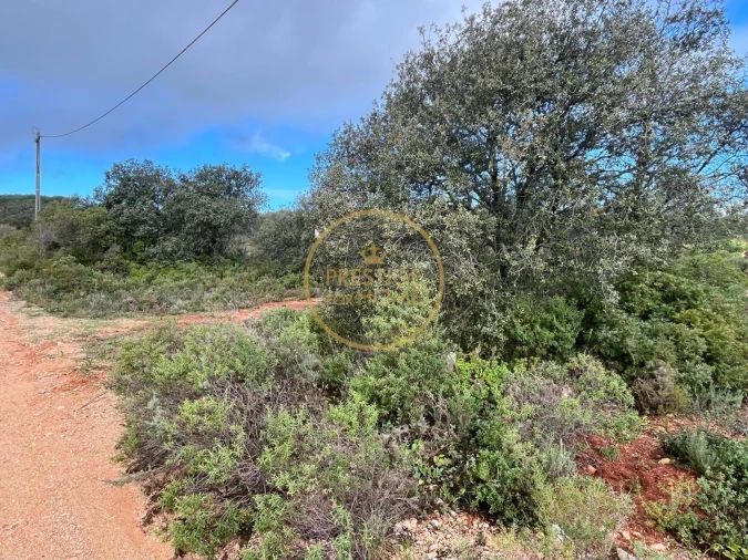 Terreno para Venda em Loule (São Sebastião) Foto 2