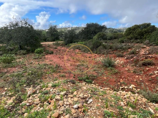 Terreno para Venda em Loule (São Sebastião) Foto 3