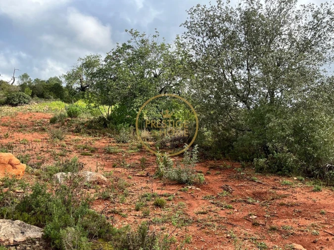 Terreno para Venda em Loule (São Sebastião) Foto 11