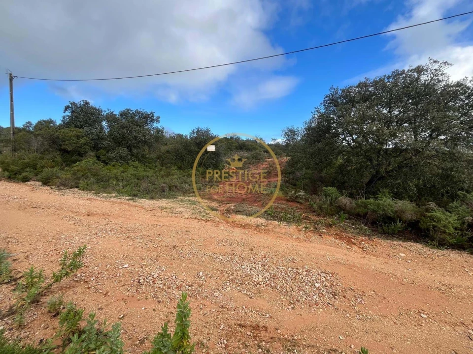 Terreno para Venda em Loule (São Sebastião) Foto 1