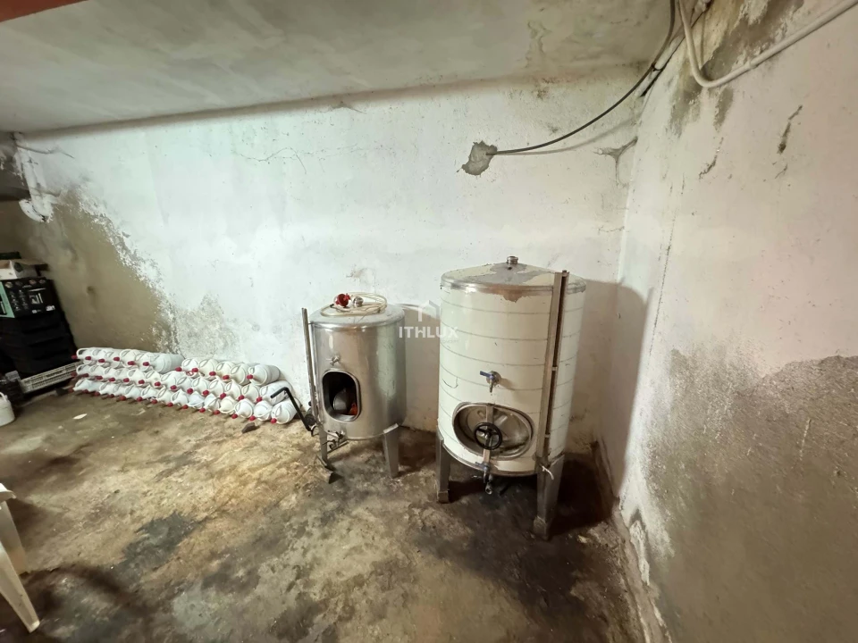 Quinta T6 para Venda em São Martinho de Mouros Foto 22