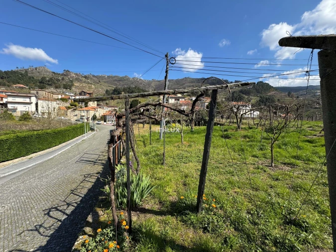 Quinta T6 para Venda em São Martinho de Mouros Foto 34