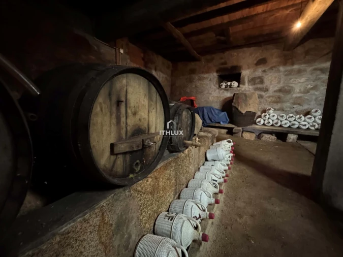 Quinta T6 para Venda em São Martinho de Mouros Foto 21