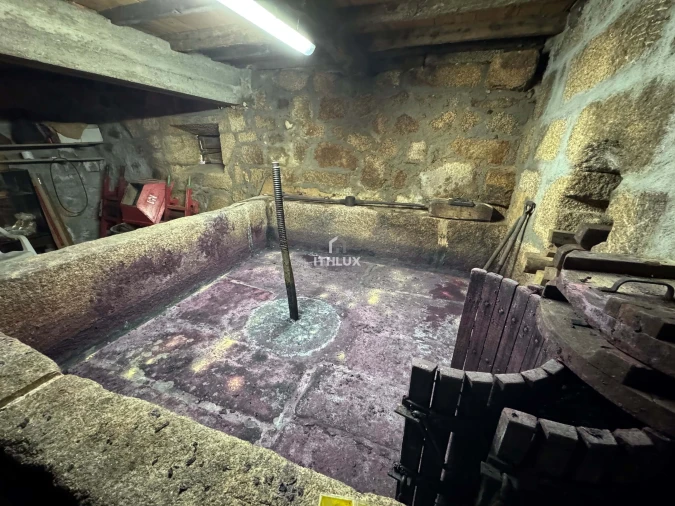 Quinta T6 para Venda em São Martinho de Mouros Foto 20