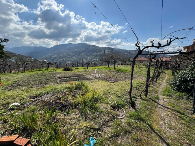 Quinta T6 para Venda em São Martinho de Mouros Foto 25