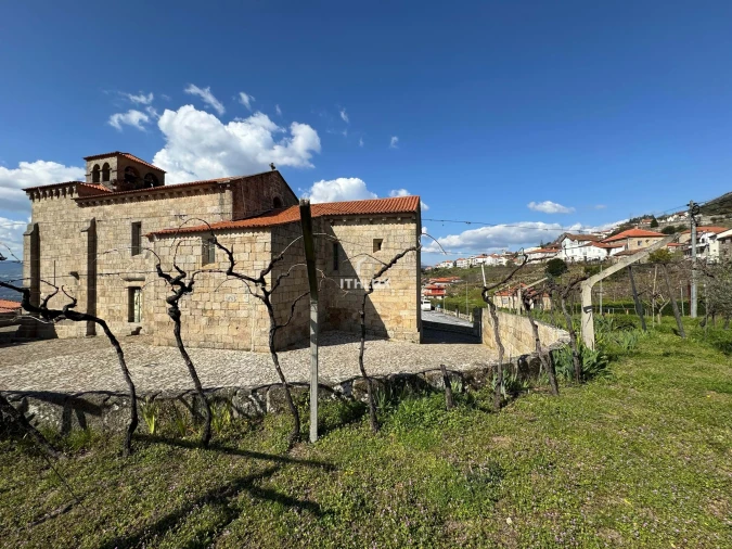 Quinta T6 para Venda em São Martinho de Mouros Foto 56