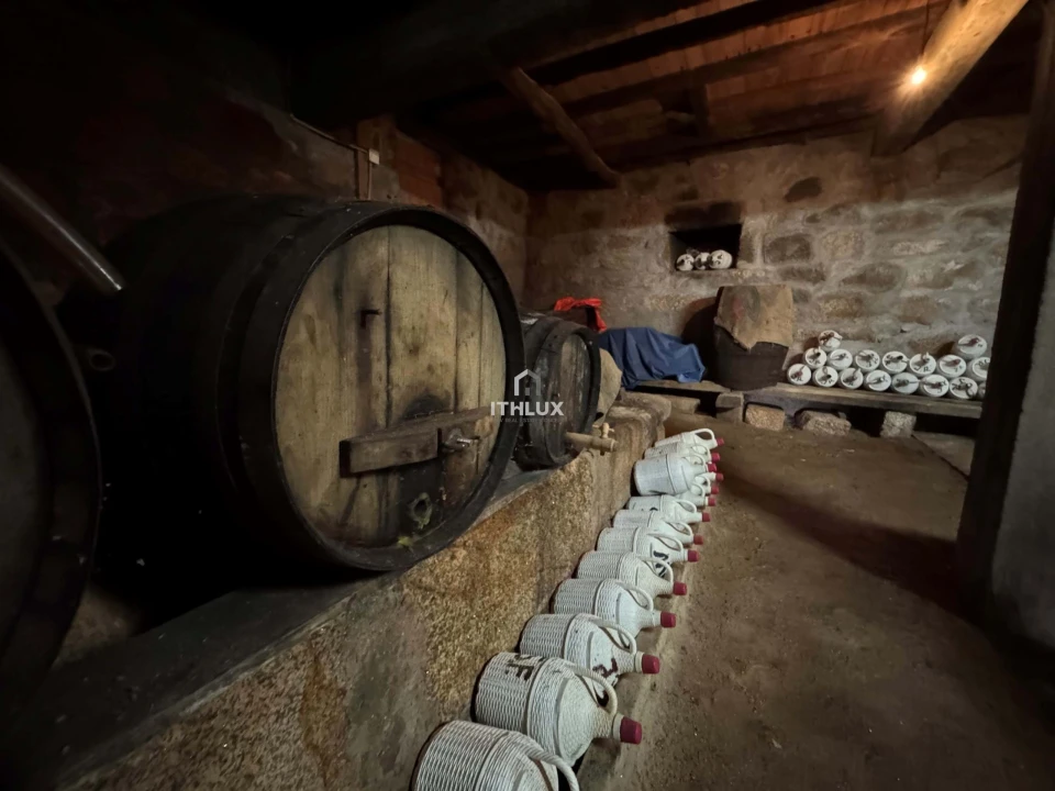 Quinta T6 para Venda em São Martinho de Mouros Foto 21