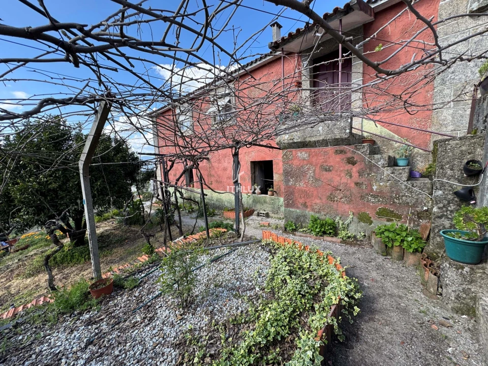 Quinta T6 para Venda em São Martinho de Mouros Foto 11