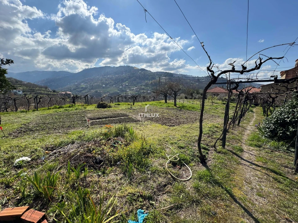 Quinta T6 para Venda em São Martinho de Mouros Foto 25